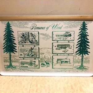 Awesome Mid Century Steel Tray